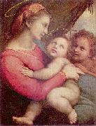 Madonna della Tenda Raffaello